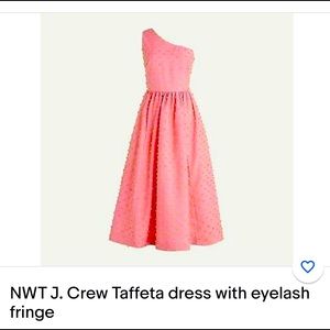J Crew taffeta dress with eyelash fringe with pockets!  Gorgeous dress!